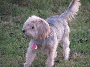 Sally (Radnich) Weir
